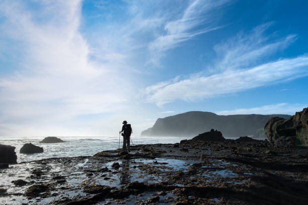 istock A backpacker standing on the rocks at Anawhata beach, Waitakere, Auckland 1269465198
