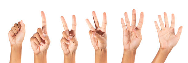 istock five fingers count signs isolated on white background with Clipping path included. Communication gestures concept 1269468627
