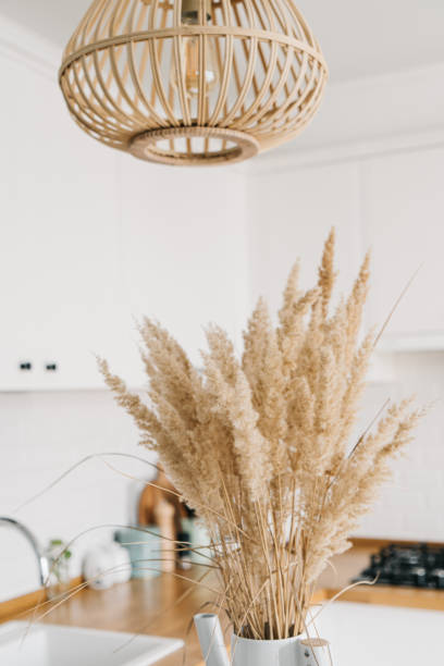 istock Modern white u-shaped kitchen in scandinavian style. Open shelves in the kitchen with plants and jars. 1269468775