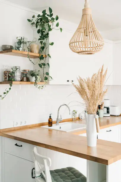 Photo of Modern white u-shaped kitchen in scandinavian style. Open shelves in the kitchen with plants and jars.