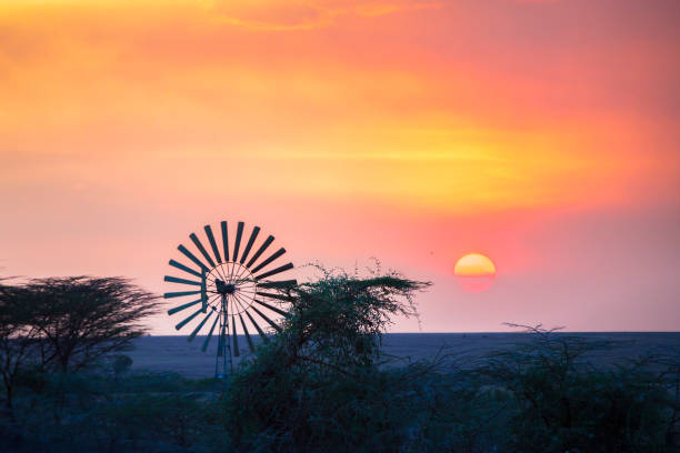 mulino a vento al tramonto in africa - masai mara national reserve sunset africa horizon over land foto e immagini stock