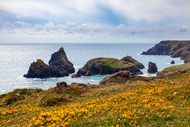 istock Kynance Cove Cornwall England UK Europe 1269471814