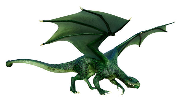 istock 3D illustration fantasy dragon on white 1269474822