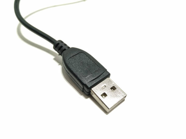 istock A picture of usb cable 1269475229