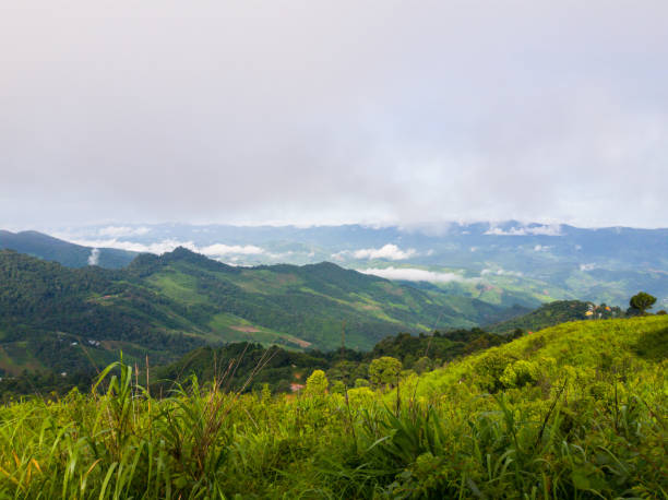 istock View on mountain of north thailand 1269475406