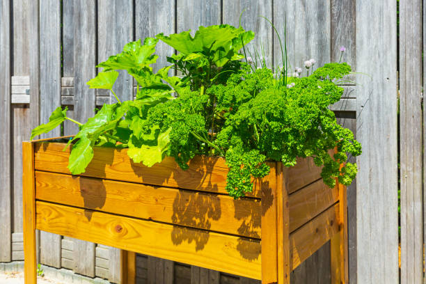 istock Wooden design potager kitchen table with vegetables and herbs in a garden 1269476357