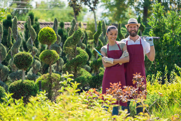 istock Landscapers in the garden 1269477101