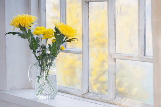 istock yellow chrysanthemum in glass jug on windowsill 1269477242