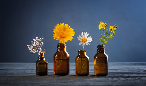 istock medicinal plants and brown bottles on  blue background 1269477267