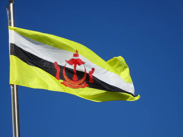 istock Flag of Brunei 1269483767