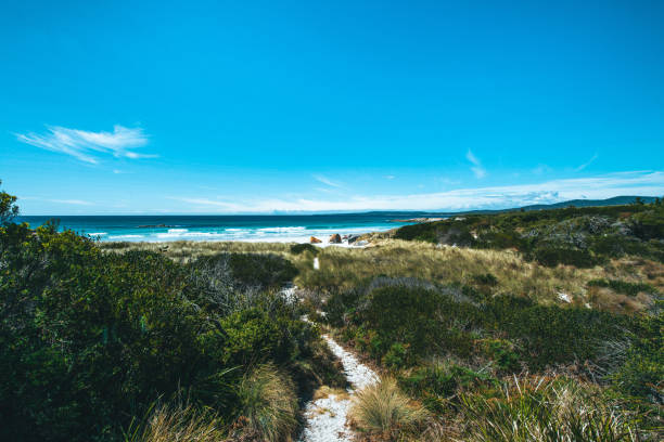 The purest white sand beach and red stone rocks at the Bay of Fires on the east coast of Tasmania, Australia. In front the walkway through the green landscape leading down to the beach and the ocean.