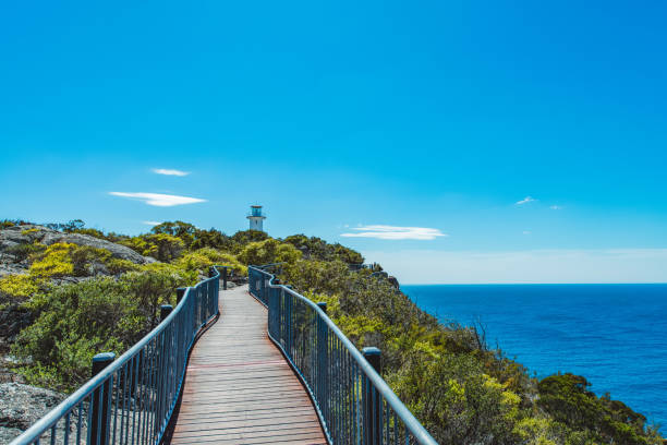 percorso per il faro di cape tourville in tasmania - freycinet national park foto e immagini stock