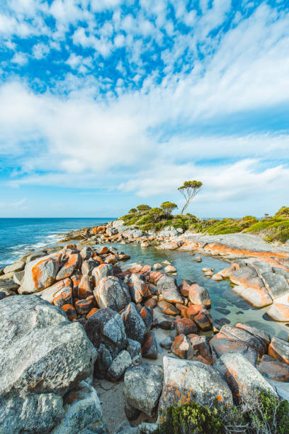 istock Bay of Fires, Tasmania, Australia 1269484206