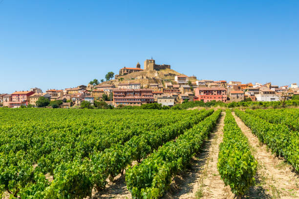beautiful scene of la rioja couuntryside with haro town at background, spain grapevine fields of la rioja, Spain rioja photos stock pictures, royalty-free photos & images