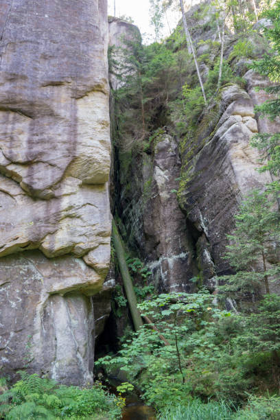 istock Rock town in Adrspach, Czech Republic 1269489942