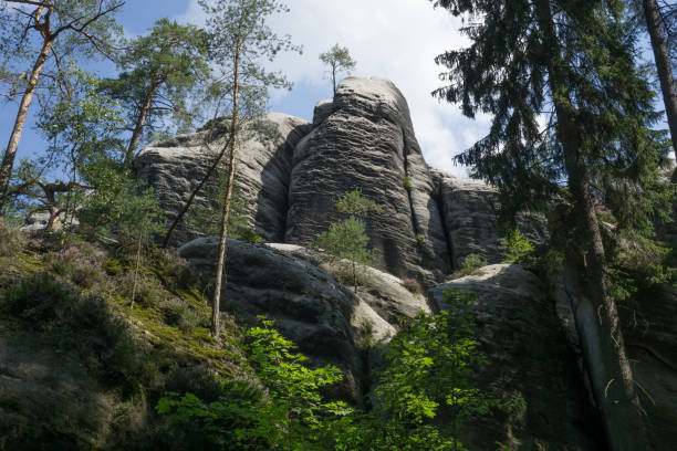 istock Rock town in Adrspach, Czech Republic 1269490067