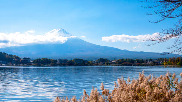 istock Fuji Mountain with lake and tree over blue sky and cloud 1269494375