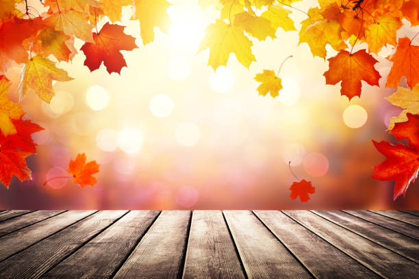 istock Wooden table top on blur autumn background 1269494971