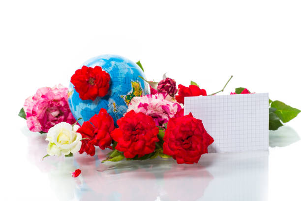 Globe with books and flowers isolated on a white background