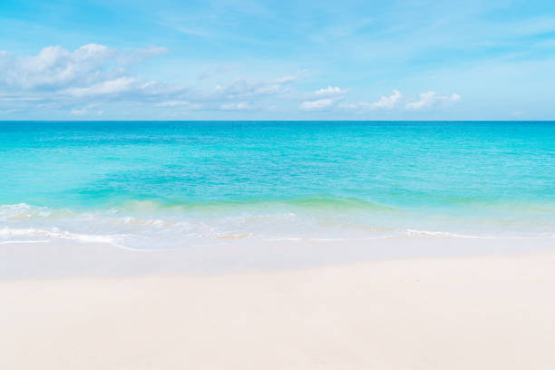 istock Bali beach scene - turquoise Indian ocean, white sand and blue sky on the background. 1269496449