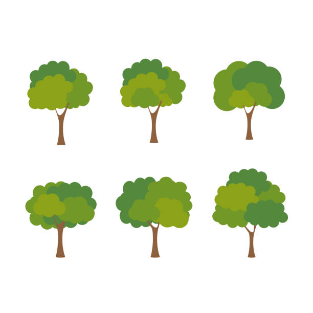 ilustraciones, imágenes clip art, dibujos animados e iconos de stock de verde árbol fértil una variedad de formas en el fondo blanco, conjunto de varios conjuntos de árboles, árboles para la decoración de jardines y diseños de casa.vector ilustración e icono - globe grape