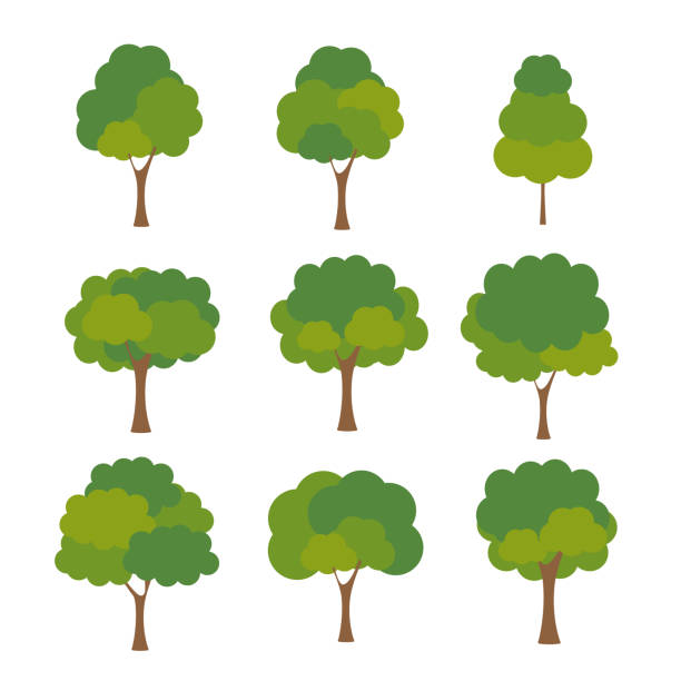 ilustrações, clipart, desenhos animados e ícones de árvore verde fértil uma variedade de formas no fundo branco, conjunto de vários conjuntos de árvores, árvores para decorar jardins e desenhos domésticos.ilustração vetorial e ícone - globe grape