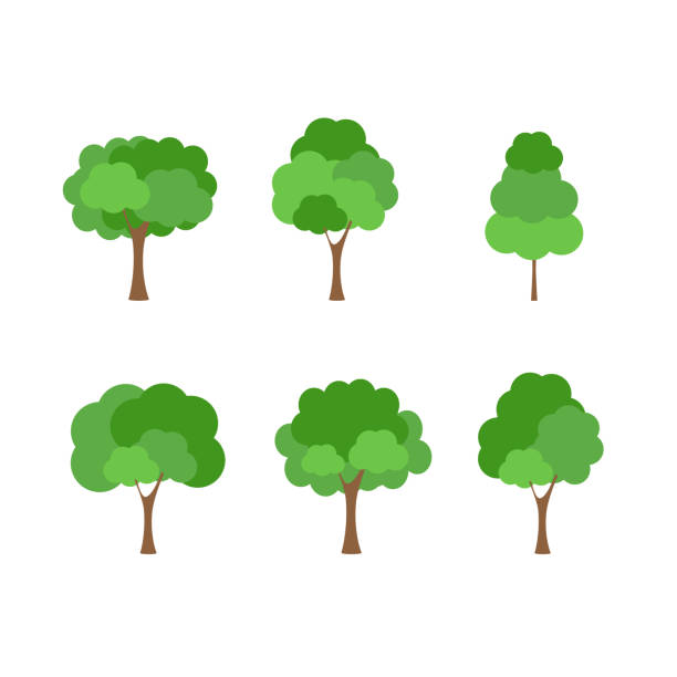 ilustrações, clipart, desenhos animados e ícones de árvore verde fértil uma variedade de formas no fundo branco, conjunto de vários conjuntos de árvores, árvores para decorar jardins e desenhos domésticos.ilustração vetorial e ícone - globe grape