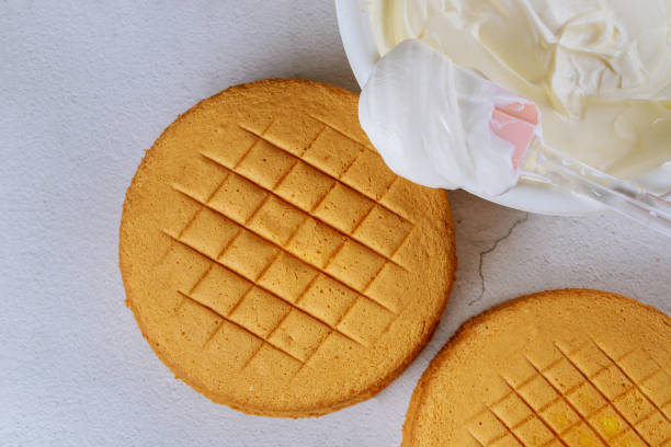 istock Sponge cake with white frosting before assemble cake. 1269498477