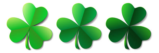 istock Saint Patricks day green clover leaves or shamrocks isolated 1269498657