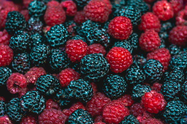 istock background of blackberries with raspberries 1269500099