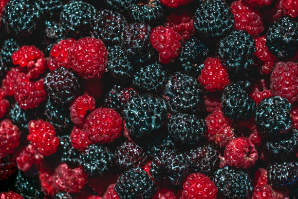 istock background of blackberries with raspberries 1269500151