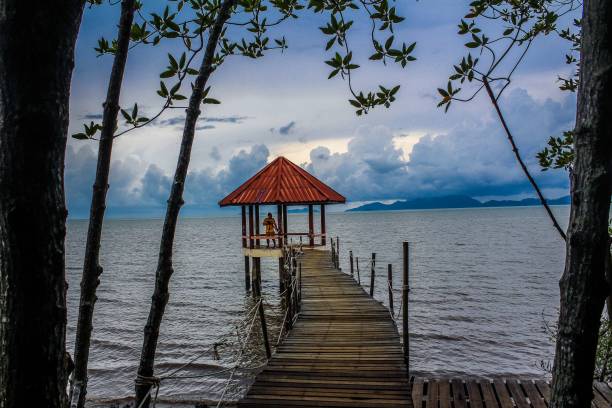 istock Mangrove Forest, Trat , Thailand 1269502970