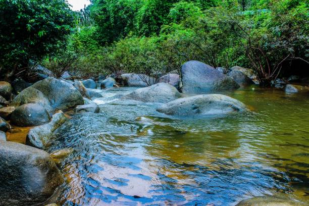 istock Phlio Waterfall , Chanthaburi, Thailand 1269503300