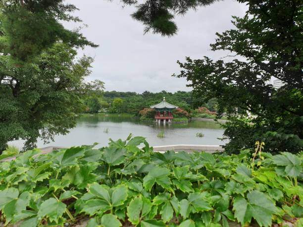 istock Lakeside and korean style Pagoda 1269506738
