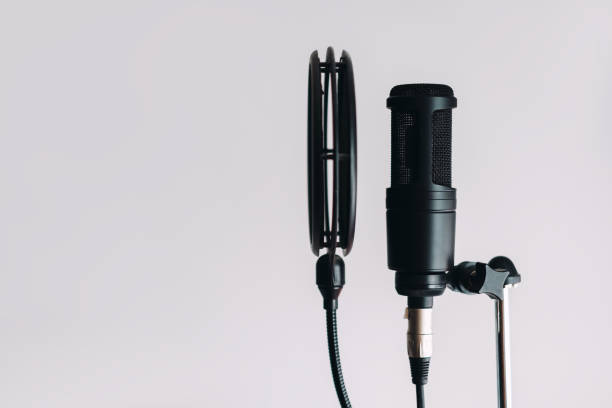 Black condenser microphone on stand with pop filter isolated on gray background
