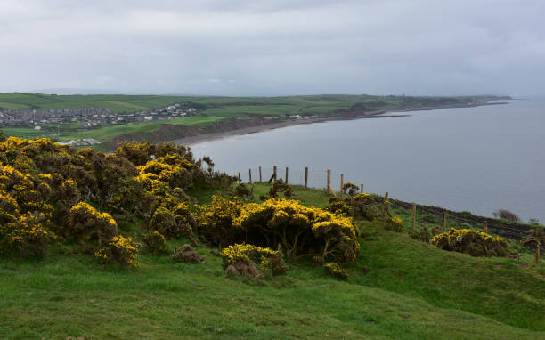 istock Stunning St Bees Cliff Walk in England 1269514220