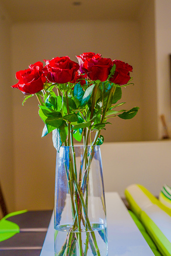 Photo of red roses in a glass vase with blurred background of the home interior.