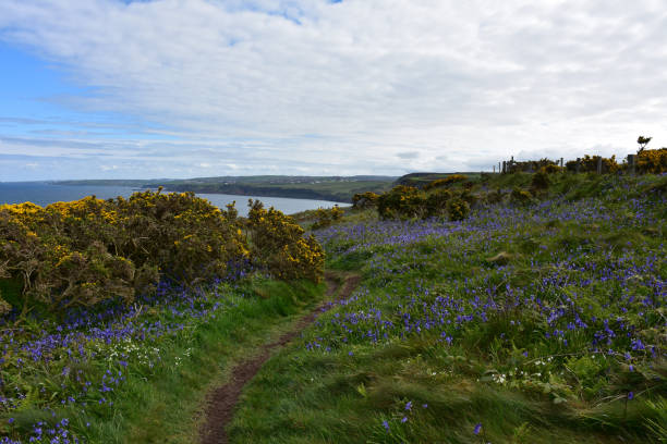 istock Stunning St Bees Cliff Walk in England 1269515292