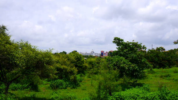 istock long view of nature with buildings 1269515632