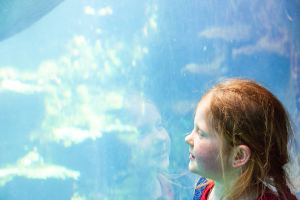 水族館の窓で魚に畏敬の念を見ている8歳の女の子 - candid underwater animal aquarium ストックフォトと画像