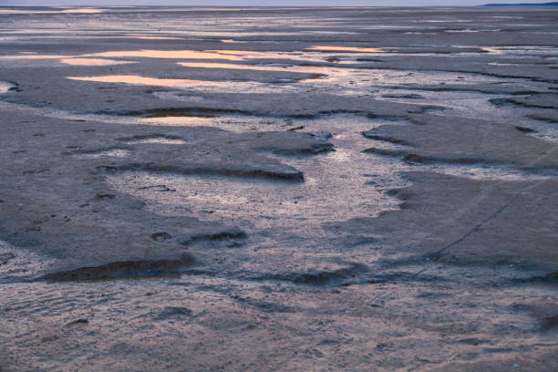 istock Desolate beach scene at springtime in Le Crotoy, Picardy, France 1269515939