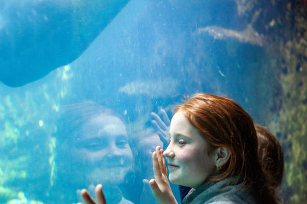 水族館の窓で魚に畏敬の念を見ている10歳の女の子 - candid underwater animal aquarium ストックフォトと画像
