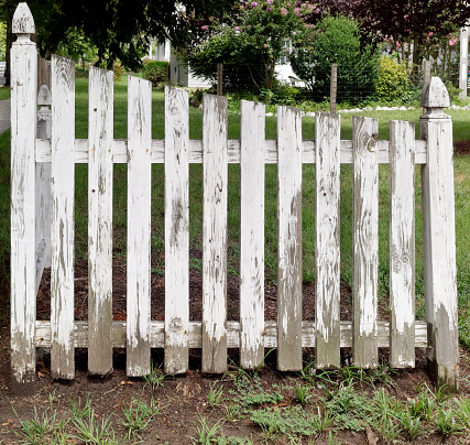 Section of weathered white picket fence.