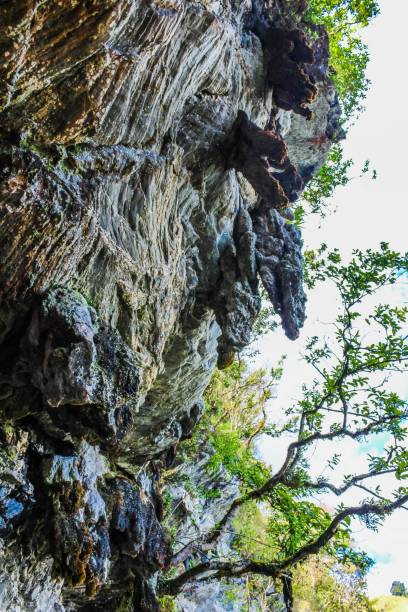 istock Doi Pha Tang, Chiang Rai, #thailand, #travel 1269518506