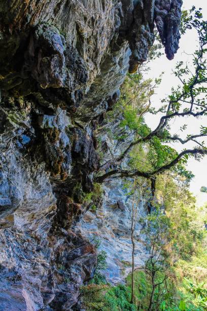istock Doi Pha Tang, Chiang Rai, #thailand, #travel 1269518514