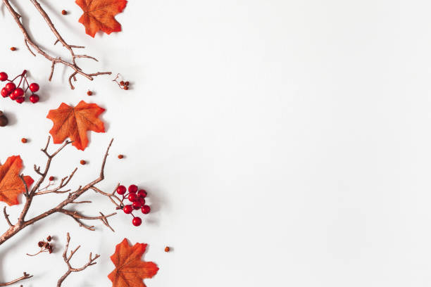 istock Autumn composition. Maple tree leaves, branches on gray background. Autumn, fall, thanksgiving day concept. Flat lay, top view 1269521902