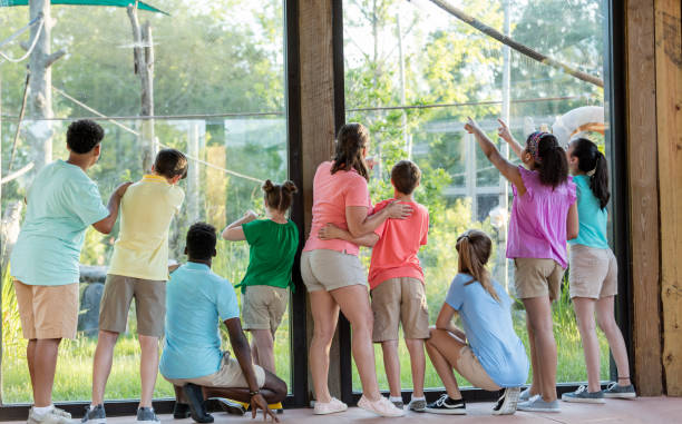 istock Summer field trip to zoo, including children with downs 1269522074