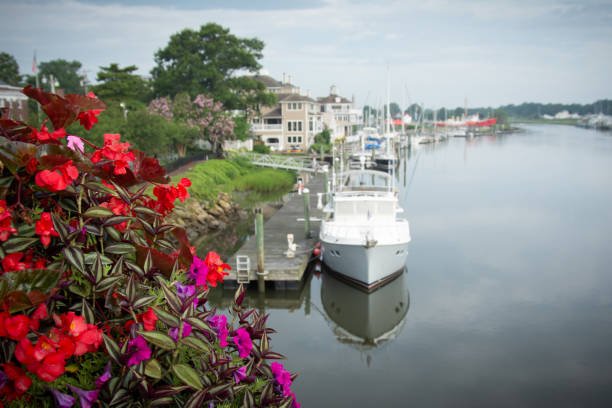 istock Canal and boat in soft focus with sharp flowers in foreground 1269525733