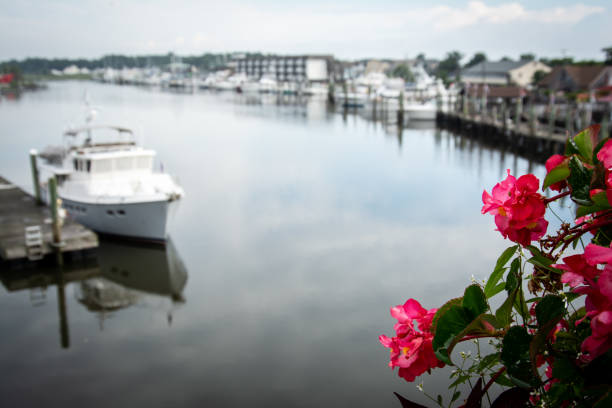 istock Sky reflected in water with bright flowers in foreground 1269525914