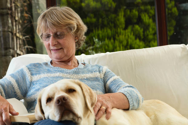 istock Retired lady relaxing with her dog 1269525992